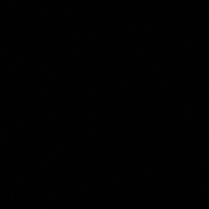 Meet your Posher, Alanis